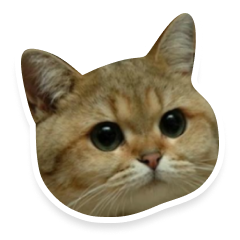 Cute Cat